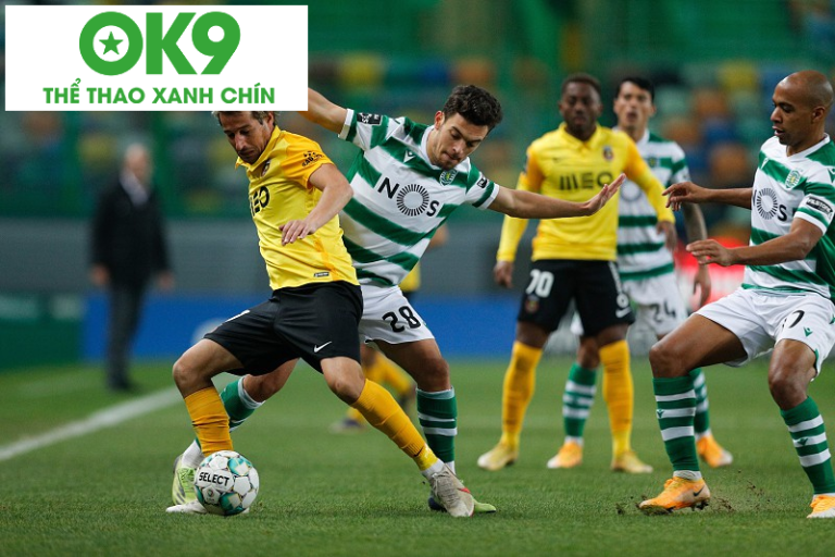 Dự đoán trận đấu giữa Sporting CP và Rio Ave: Trận đấu hấp dẫn_692aa9e04650b.png