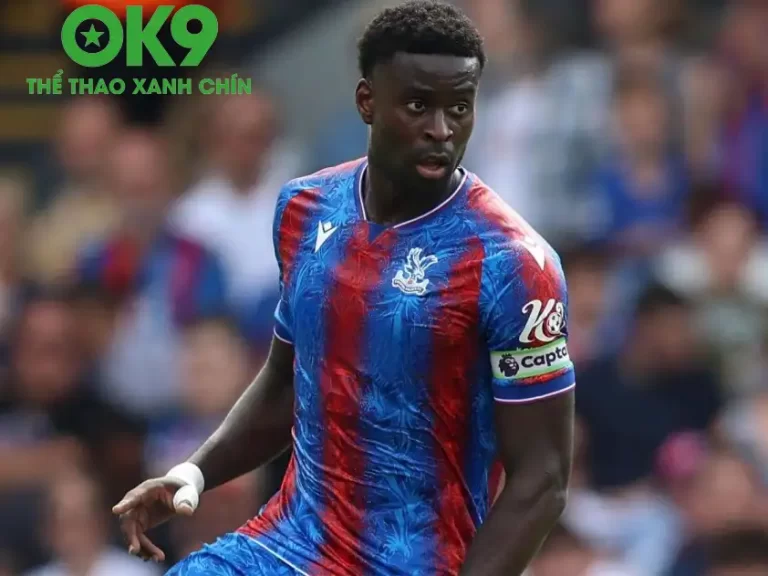 OK9 COOL – Phân tích trận đấu Crystal Palace và Sunderland: Thách thức lớn đối với Sunderland_692aa65b0a17b.webp