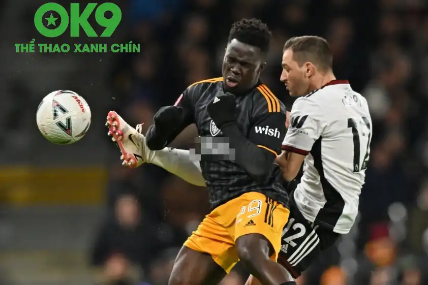 OK9 COOL – Phân tích trận đấu Fulham gặp Leeds: Sự quyết tâm giành chiến thắng của đội chủ nhà_692aa64fba26e.webp