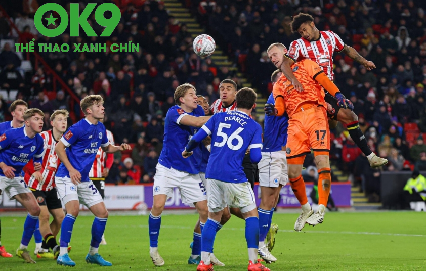Phân tích cuộc đối đầu giữa Sheffield và Cardiff: Liệu có kết quả cách biệt?_692aa84e62794.png