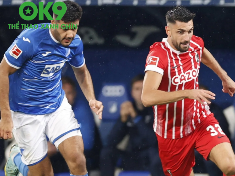 Phân tích trận đấu Freiburg vs Hoffenheim: Sức mạnh toàn diện, lúc 20h30 ngày 19/4/2025_692aa8bef1bc8.png