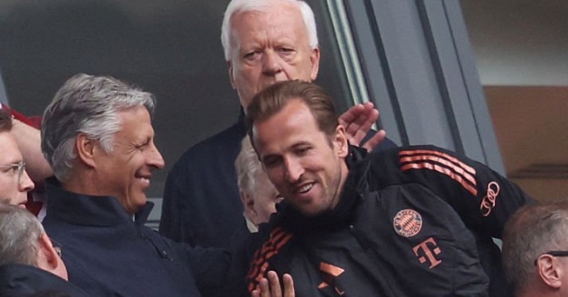 Bayern khiến Harry Kane chưng hửng_695bac4370ba0.jpeg
