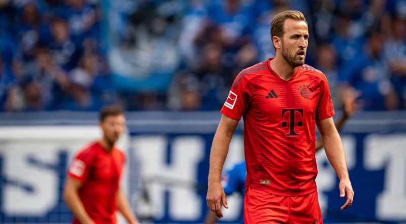 Kane lập công, Bayern đè bẹp Hoffenheim_695babd3959c7.jpeg