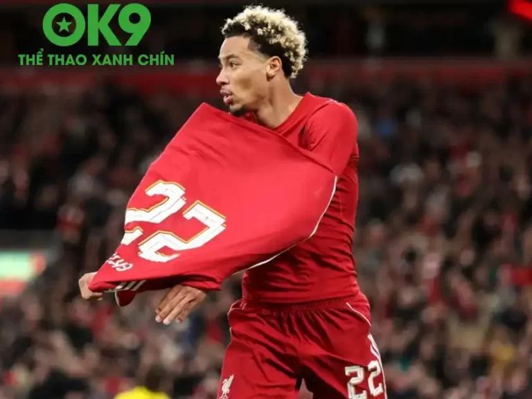 OK9 Nhận Định Crystal Palace vs Liverpool: Kịch Bản Bất Ngờ Nào Chờ Đợi?_69859147039b8.webp