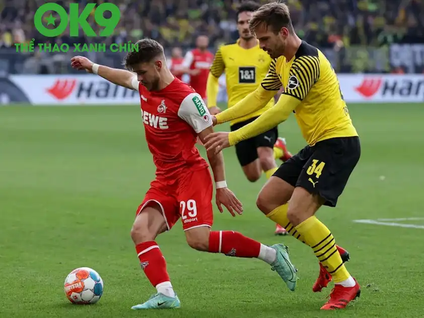 OK9 Soi Kèo: Dortmund vs FC Koln – Bão Vàng Nghiền Nát Những Chú Dê?_69858ca13346a.webp