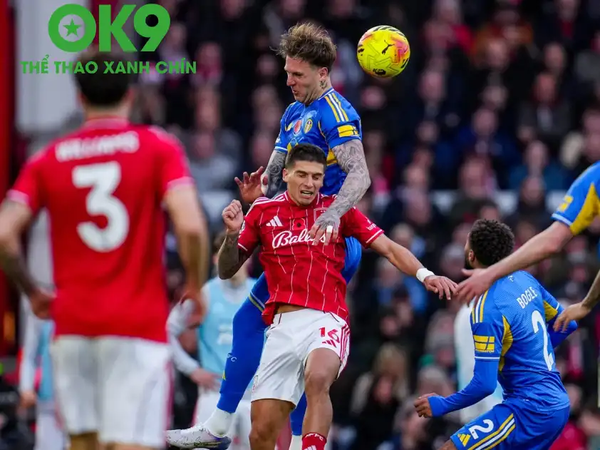 OK9 Soi Kèo: Nhận định Leeds United vs Nottingham Forest – Tử chiến trụ hạng, kịch tính tột độ_69858acd5a8af.webp