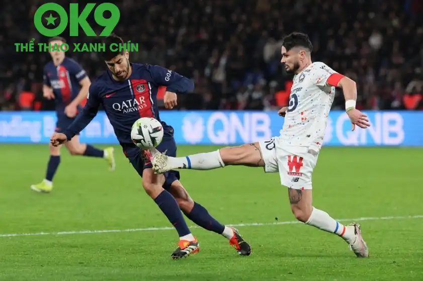 OK9 Soi Kèo: Nhận định PSG vs Lille: Sức mạnh áp đảo, Bầy chó ngao sa lầy tại Công viên các Hoàng tử_69858c67cf5b5.webp