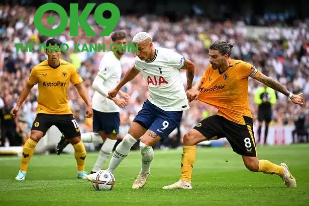 Tottenham vs Wolves: OK9 Phân Tích – Liệu Gà Trống Có Gáy Nổi?_698590fe3009f.webp